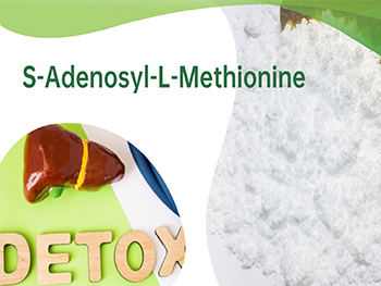 What Is S-Adenosylmethionine？